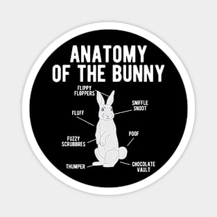 Anatomy Bunny Rabbit Magnet